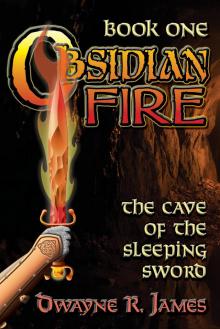      Obsidian Fire: The Cave of the Sleeping Sword