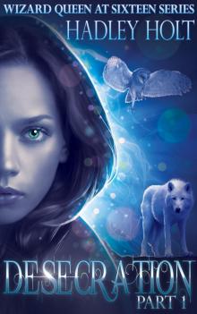      DESECRATION, Serial: Part 1 of 3 (Book One of The Wizard Queen at Sixteen Series)