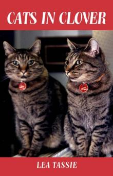      Cats In Clover