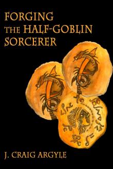      Forging the Half-Goblin Sorcerer