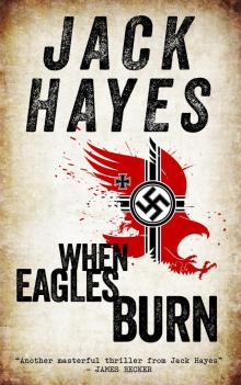      When Eagles Burn (Maddox Book #1)