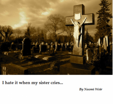      I HATE IT WHEN MY SISTER CRIES