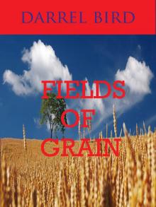      Fields Of Grain