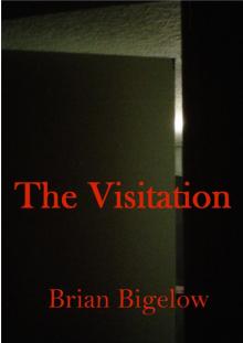      The Visitation