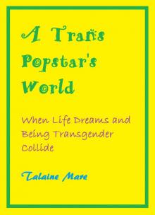      A Trans Popstar's World: When Life Dreams and Being Transgender Collide: A Novel