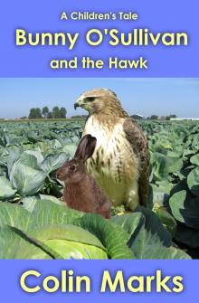      Bunny O'Sullivan and the Hawk