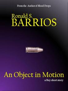      An Object in Motion