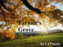      Farmer's Grove