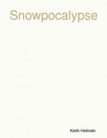      Snowpocalypse