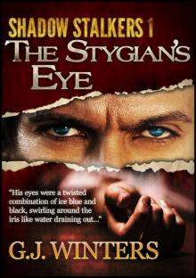      The Stygian's Eye (Shadow Stalkers 1)