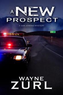      A New Prospect
