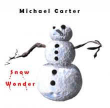      Snow Wonder
