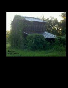      The Barn