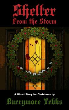      Shelter From the Storm - A Ghost Story for Christmas