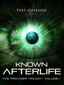      Known Afterlife (The Provider Trilogy: Volume I)