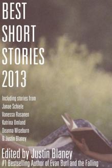      Best Short Stories 2013