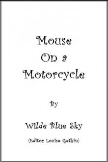      Mouse on a Motorcycle