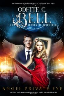      Angel: Private Eye Book One