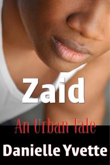      Zaid: An Urban Tale