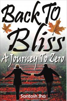      Back To Bliss: A Journey To Zero