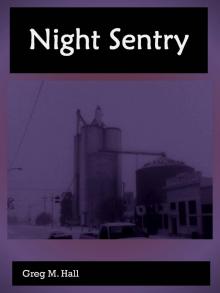      Night Sentry
