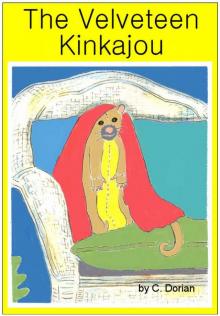      The Velveteen Kinkajou