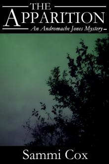      The Apparition - An Andromache Jones Mystery