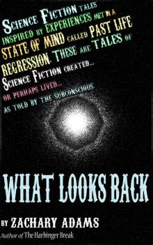     What Looks Back