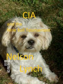      CIA and the Nine Ball Tournament
