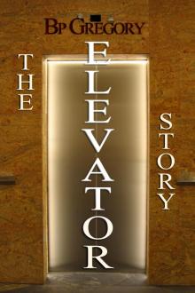      The Elevator Story