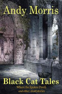      Black Cat Tales: Where the Spiders Dwell: And Other Short Stories