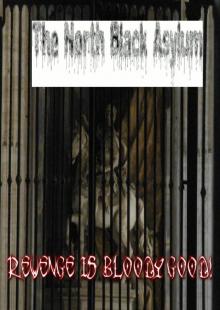      North Black Asylum