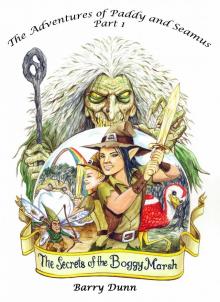      The Secrets of the Boggy Marsh
