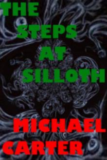      The Steps At Silloth
