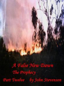      A False New Dawn