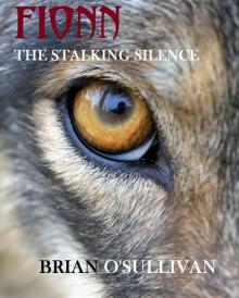      Fionn: The Stalking Silence