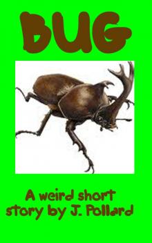      Bug
