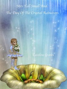      Mrs Tall Small and the Day of the Crystal Raindrops