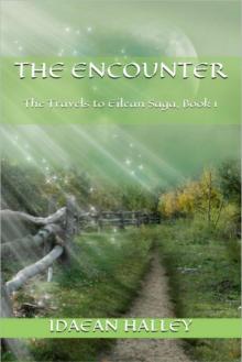      The Encounter