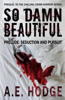      So Damn Beautiful Prelude: Seduction and Pursuit