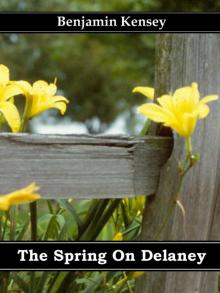      The Spring On Delaney