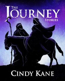      The Journey Stories