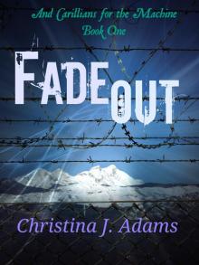      Fadeout