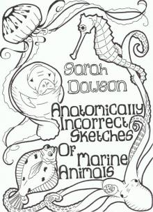      Anatomically Incorrect Sketches of Marine Animals