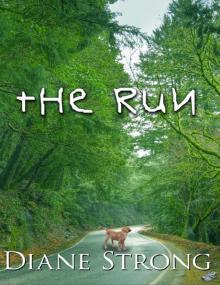      The Run (The Running Suspense Collection #1)