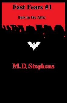      Fast Fears #1: Bats in the Attic