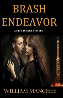      Brash Endeavor, A Stan Turner Mystery Vol 3