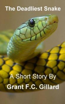      The Deadliest Snake