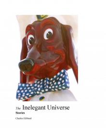     The Inelegant Universe