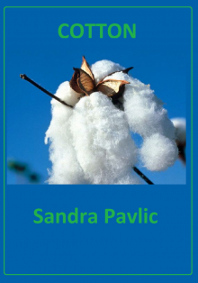      Cotton
